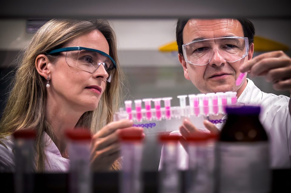 Forschungsfotograf Münster – Wissenschaftler bei der Laborarbeit mit Reagenzgläsern